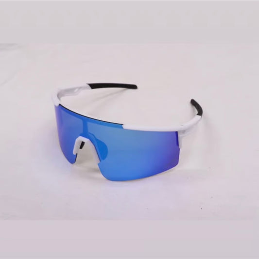 ZEEMS 偏光レンズサングラス　ZSW-595WHB