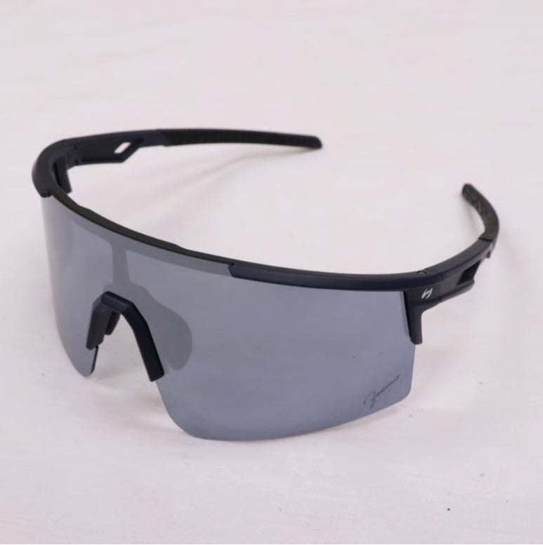 ZEEMS 偏光レンズサングラス　ZSW-595NVS