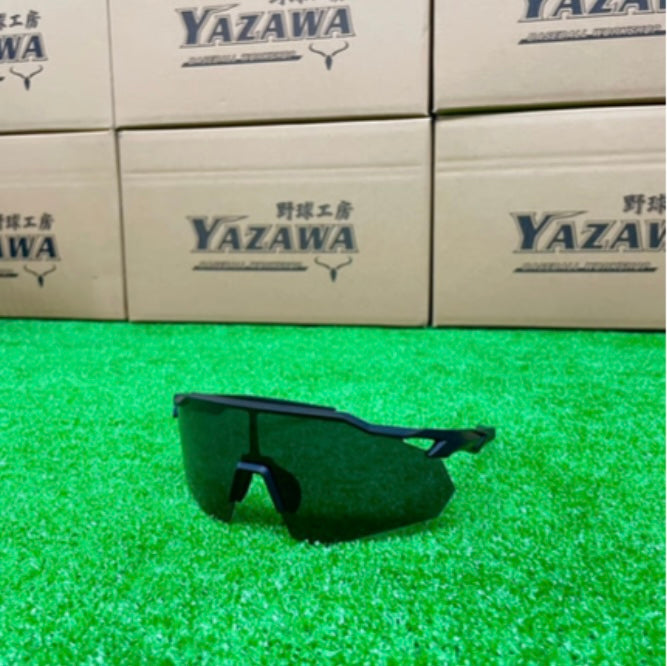 ZEEMS 偏光レンズサングラス　ZSW-595BKK