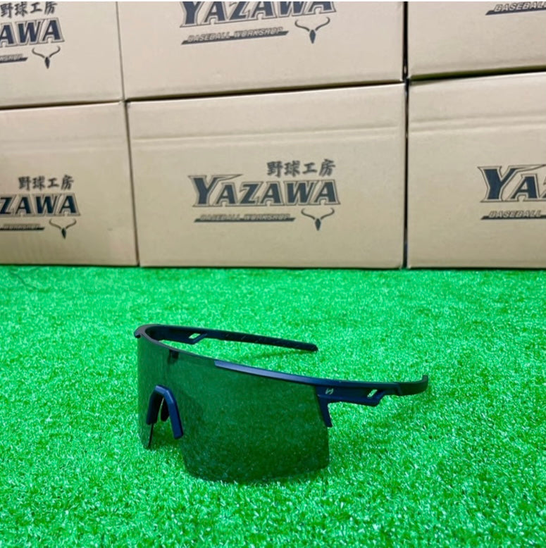 ZEEMS 偏光レンズサングラス　ZSW-595NVS