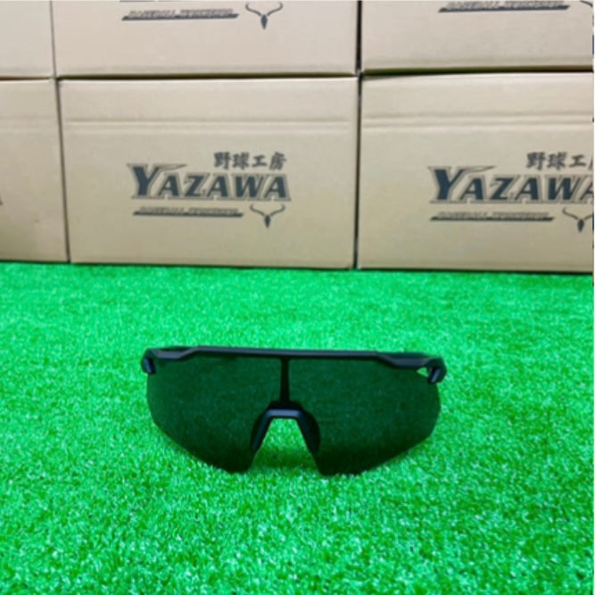 ZEEMS 偏光レンズサングラス　ZSW-595BKK