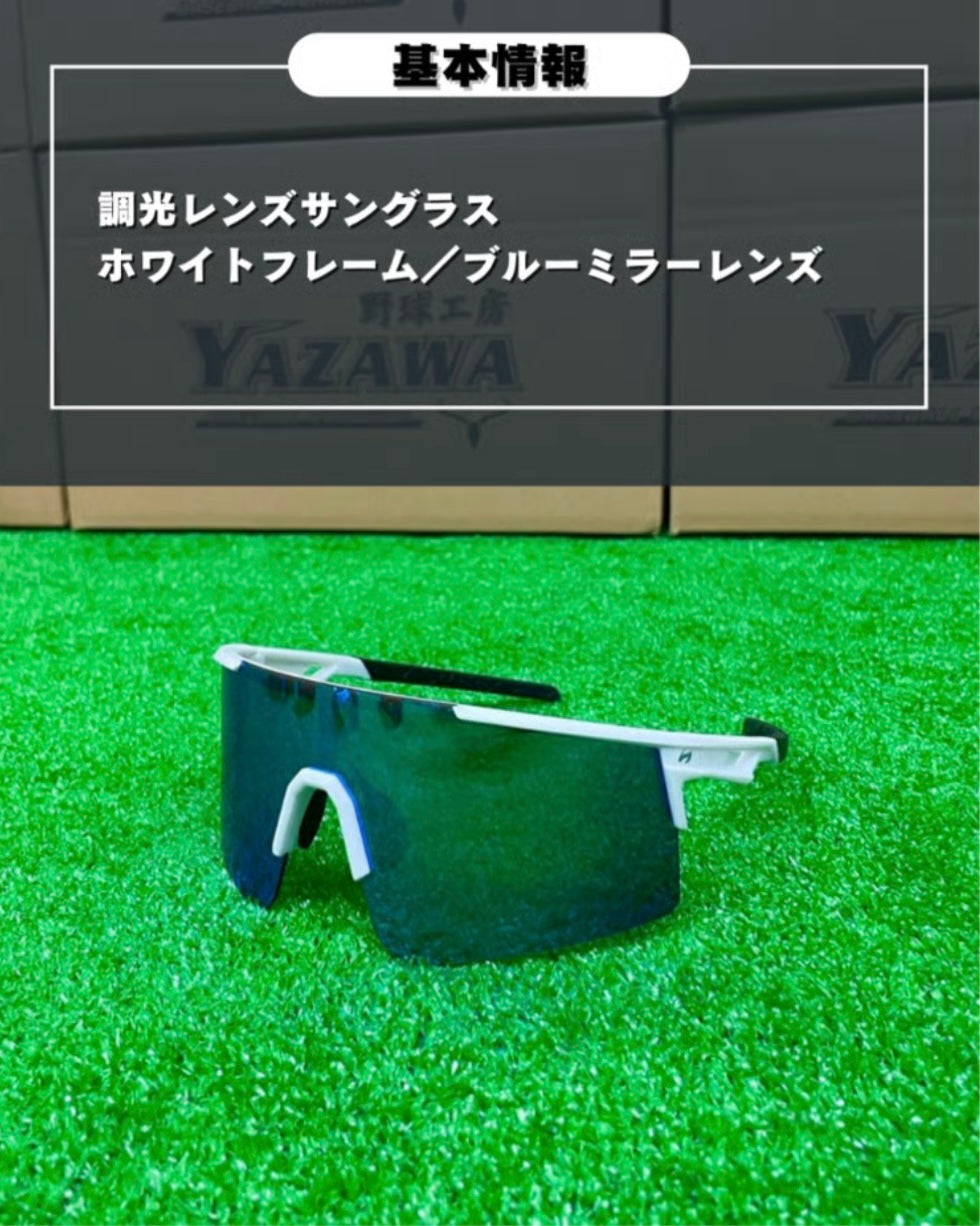 ZEEMS 偏光レンズサングラス　ZSW-595WHB