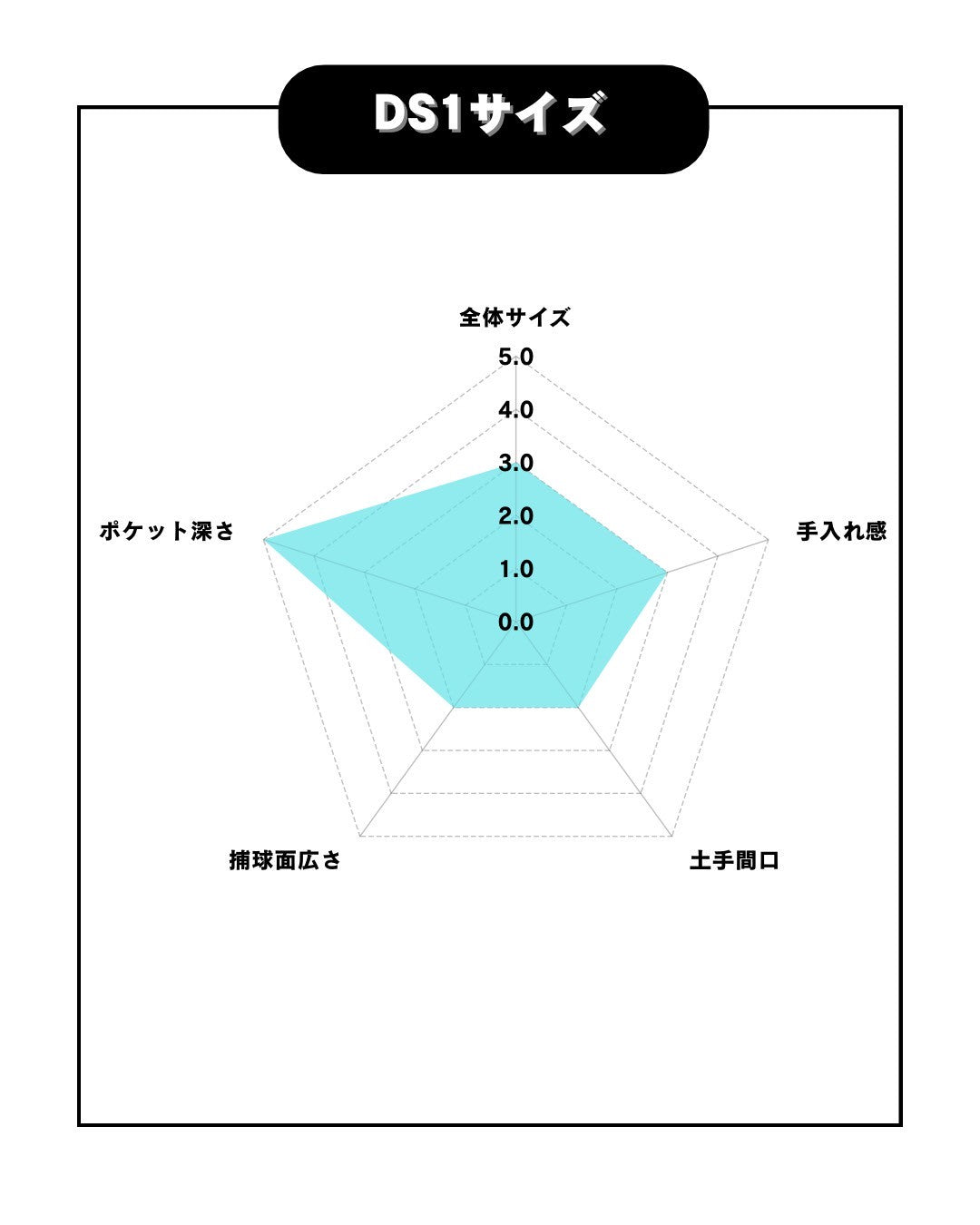 久保田スラッガー　店舗別注【型付け済み】軟式グラブ　KSN-DS1