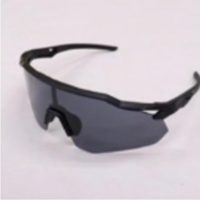 ZEEMS 偏光レンズサングラス　ZSW-595BKK