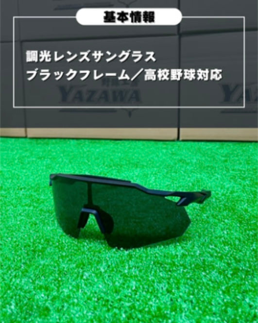 ZEEMS 偏光レンズサングラス　ZSW-595BKK