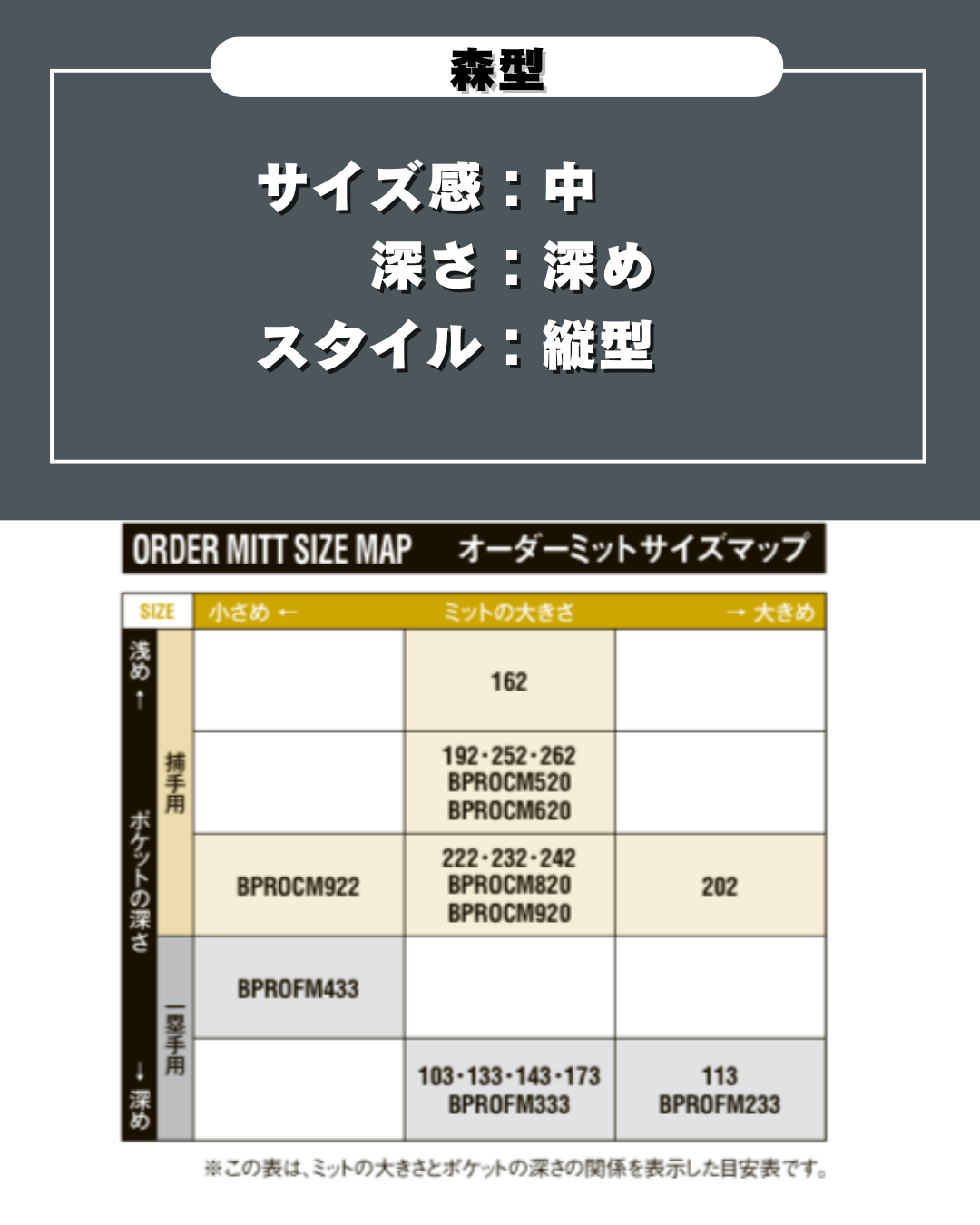 ZETT限定硬式キャッチャーミット BPROCM252S
